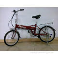 DKY TDL20KXXR 20\' 24V Lithium battery folding brown electric bike